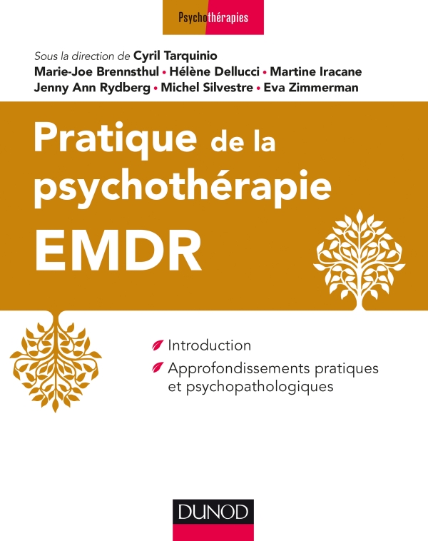 You are currently viewing Pratique de la psychothérapie EMDR