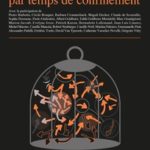 Lire la suite à propos de l’article Le deuil chez les personnes âgées au temps du coronavirus