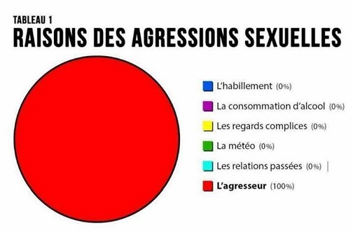 raisons_des_agressions_sexuelles_-_copie.jpg