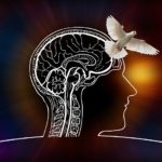 Lire la suite à propos de l’article Les thérapies du traumatisme psychique à la lumière des neurosciences. Partie 2 : Reconsolidation de la mémoire et nouveau paradigme du processus thérapeutique