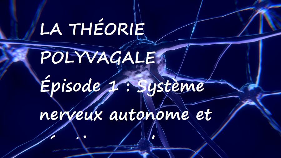 You are currently viewing La théorie polyvagale. Épisode 1 : Système nerveux autonome et réactions au danger
