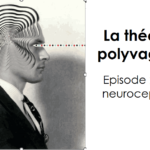 Lire la suite à propos de l’article La théorie polyvagale. Épisode 2 : La neuroception 