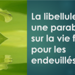 Lire la suite à propos de l’article La parabole de la libellule (deuil)