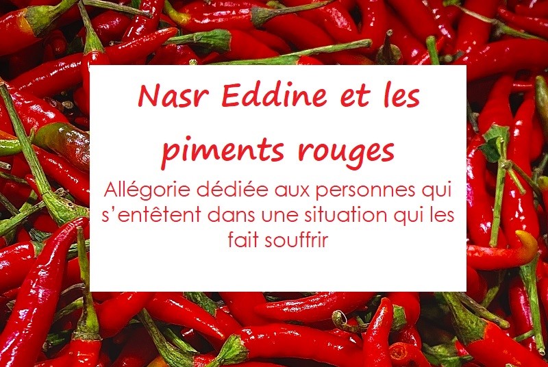 You are currently viewing Nasr Eddin et les piments rouges