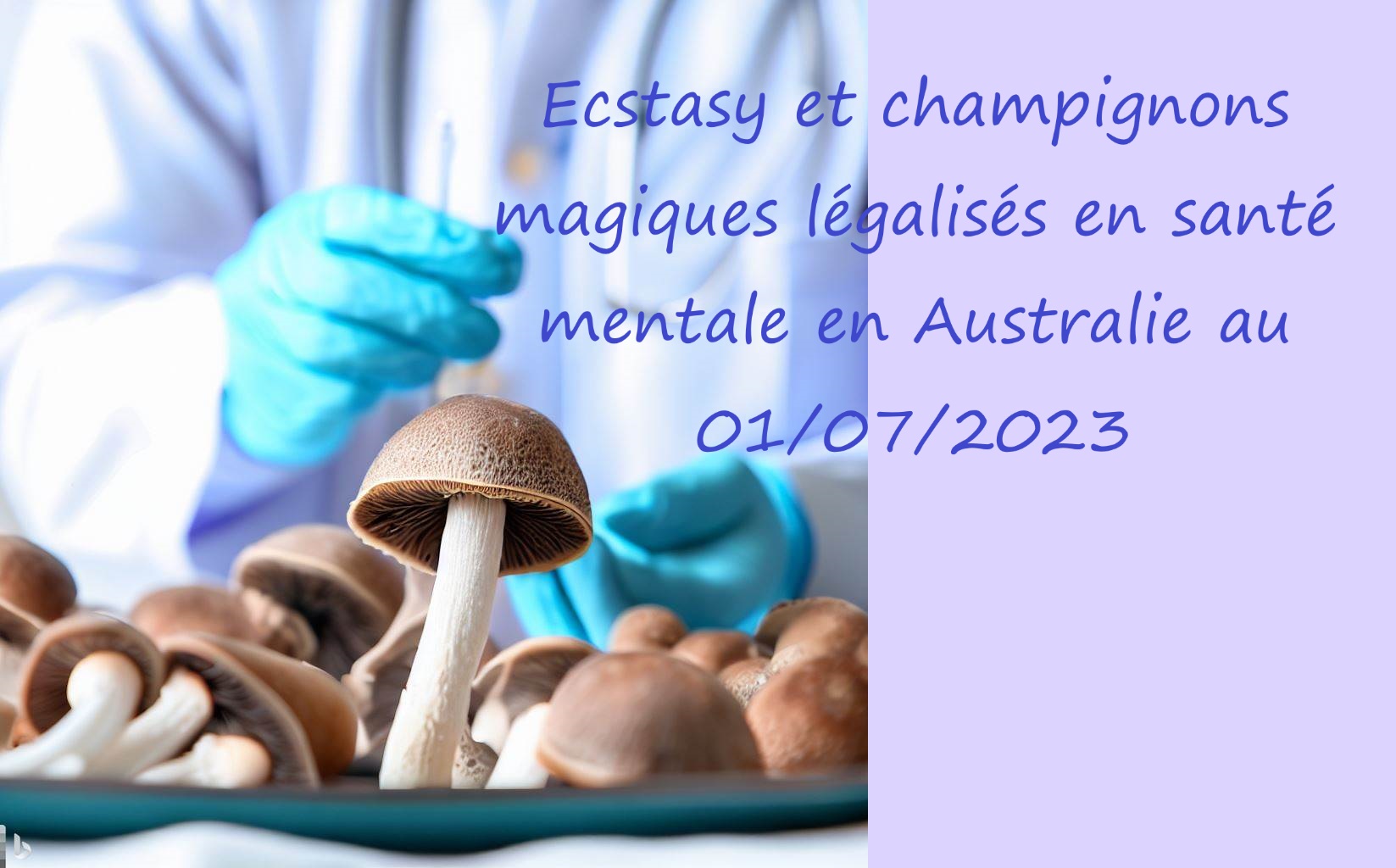 You are currently viewing Ecstasy et champignons magiques légalisés en santé mentale en Australie au 01/07/2023