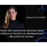 Lire la suite à propos de l’article Impact des expériences adverses dans l’enfance en fonction du développement des zones du cerveau : Catherine Raymond