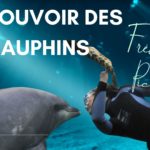 Lire la suite à propos de l’article Le pouvoir des dauphins : Frédérique Pichard